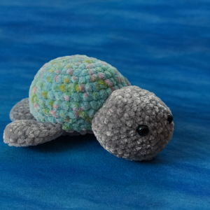 Small Turtle